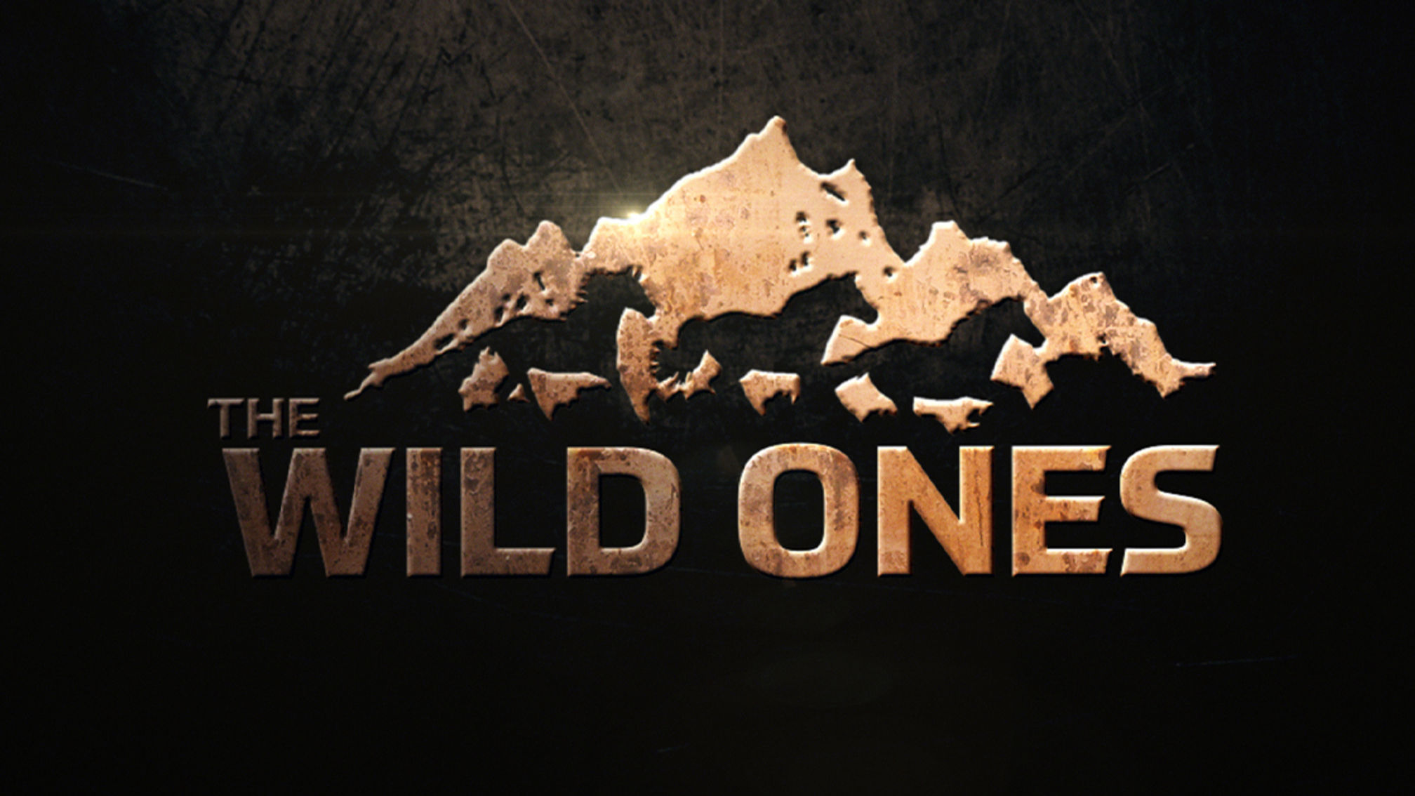 THE WILD ONES